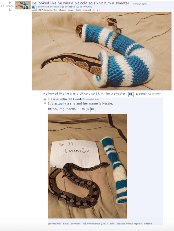 Snake Scarf