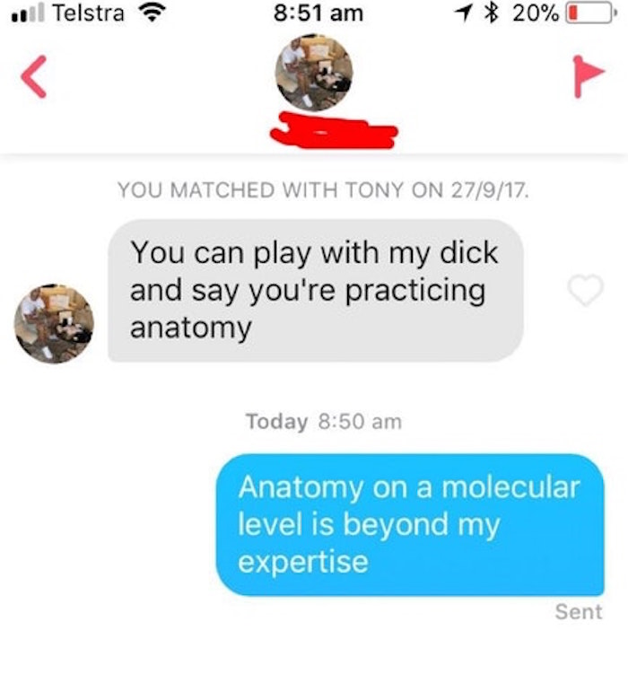 Anatomy