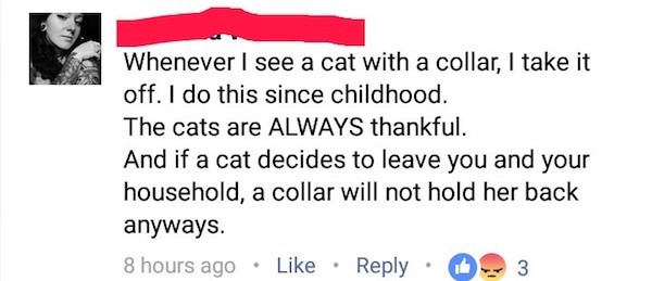 Cat Collar