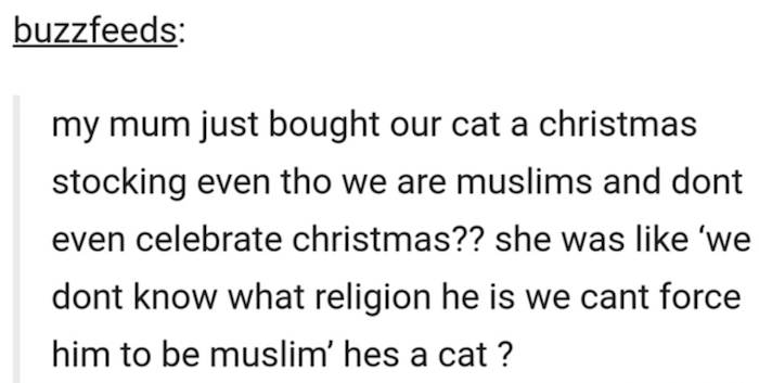 Cat Religion