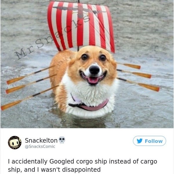 Corgo Ship