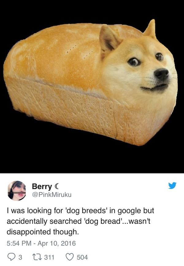 Dog Bread