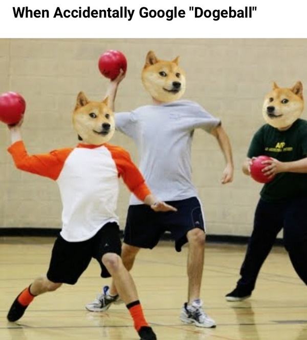 Dogeball