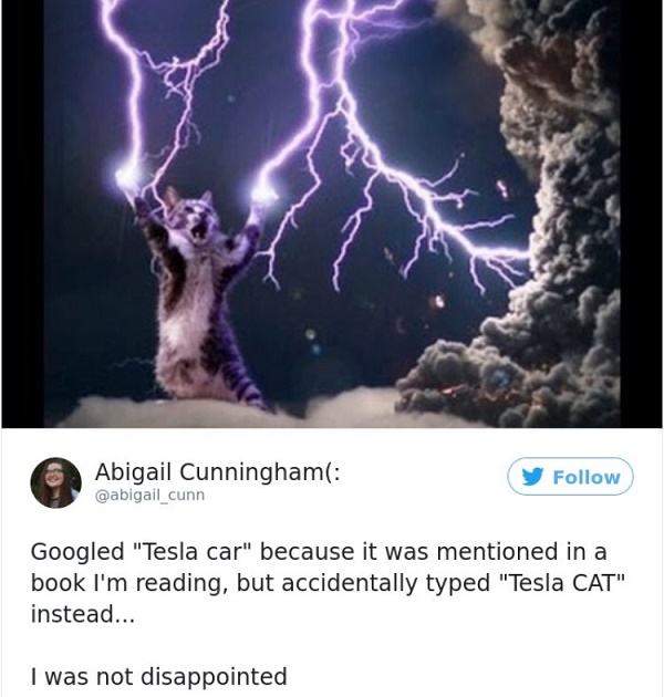 Funny Accidental Google Search