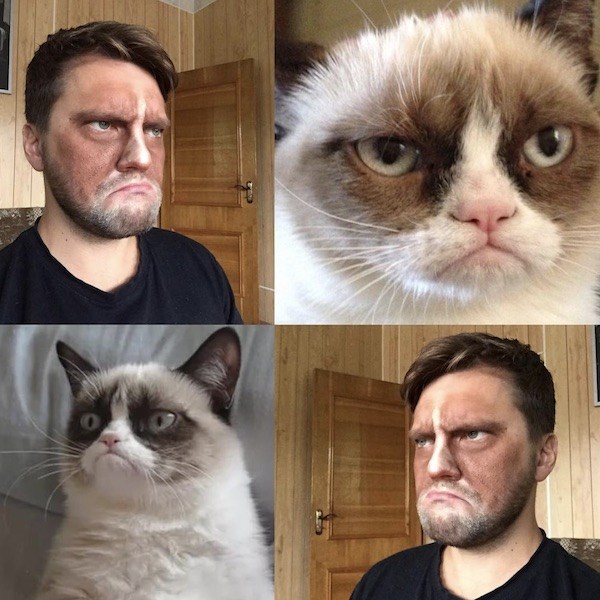 Grumpy Cat