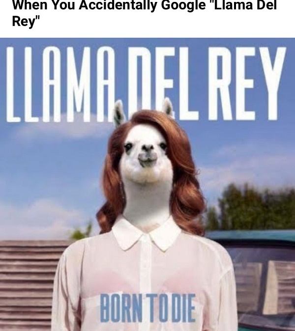 Llama Del Rey
