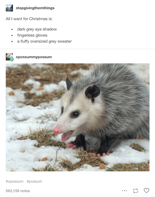 Opossum