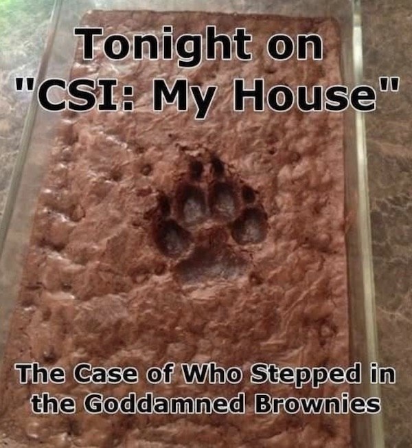 Paw Print Brownies