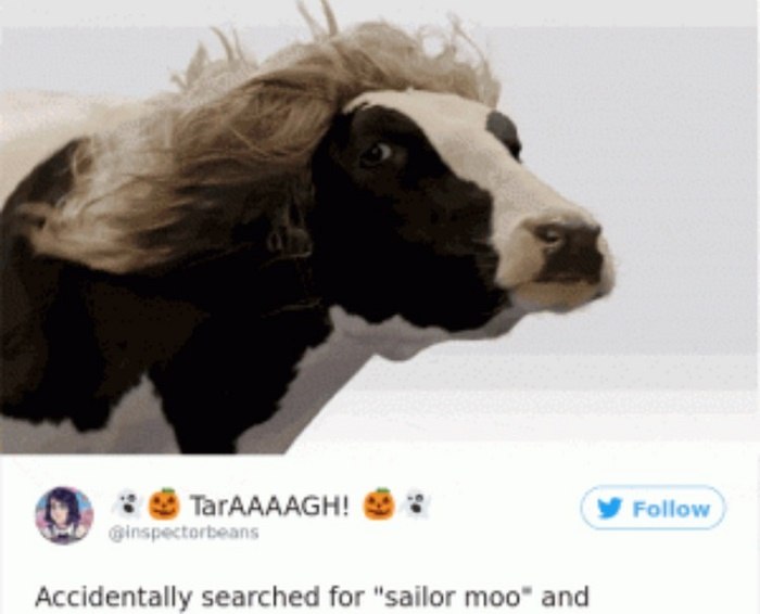 Sailor Moo