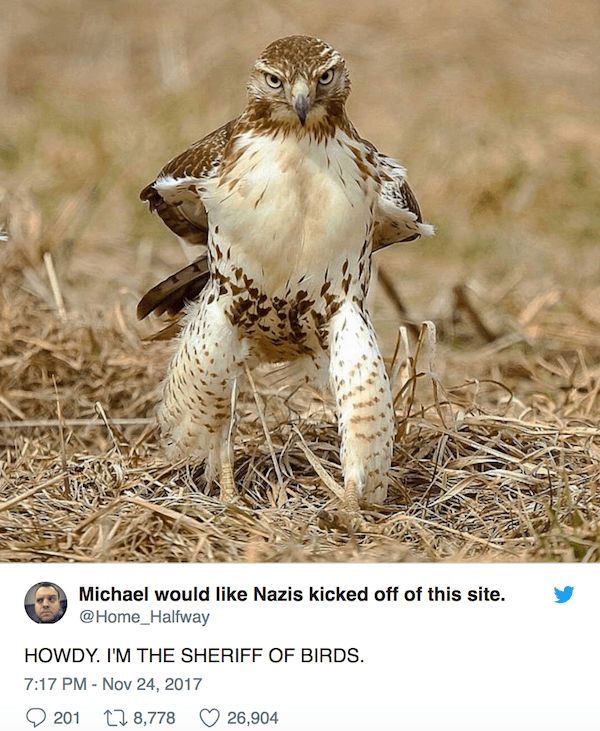 Sheriff Of Birds