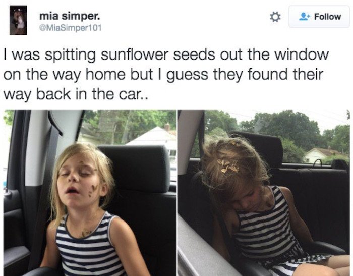 Sunflower Seeds